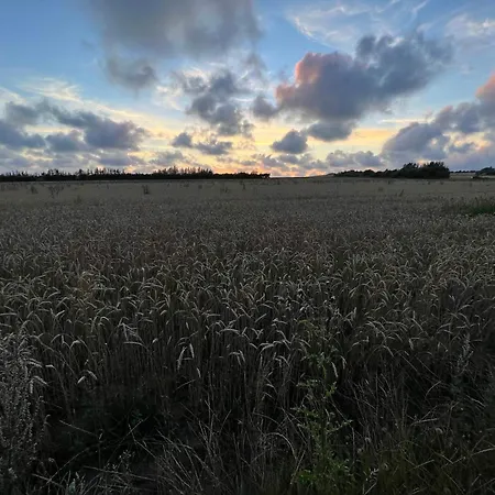 Дом отдыха 7 Person In Henne-by Traum