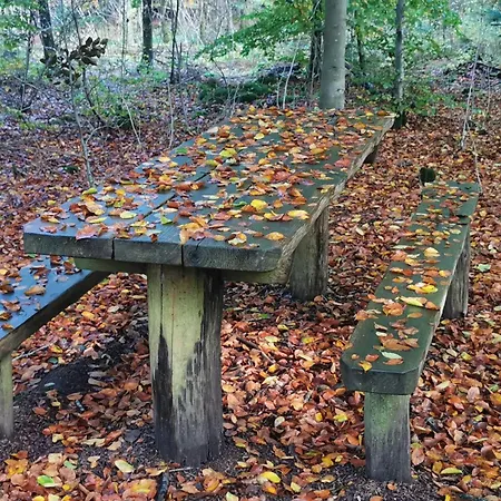 7 Person In Henne-by Traum * Henne Strand