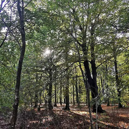 7 Person In Henne-by Traum Prázdninový dům