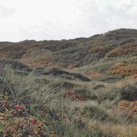 7 Person In Henne-by Traum