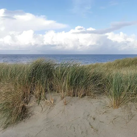 5 Star In Henne Semesterbostad Henne Strand