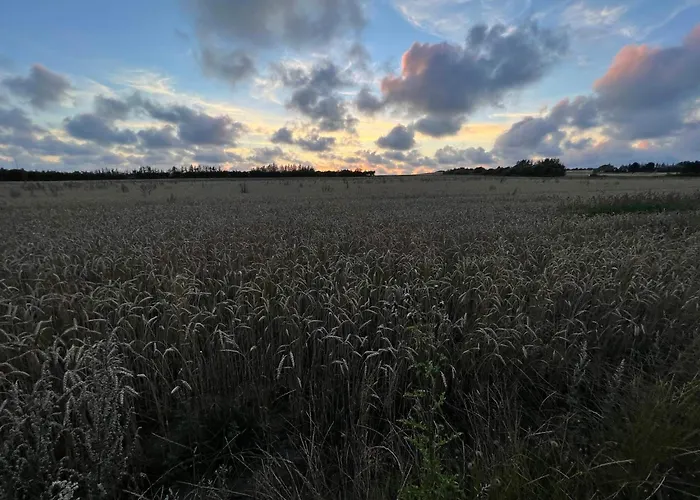 Casa vacanze 7 Person In Henne-by Traum