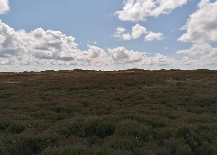 Casa vacanze 7 Person In Henne-by Traum