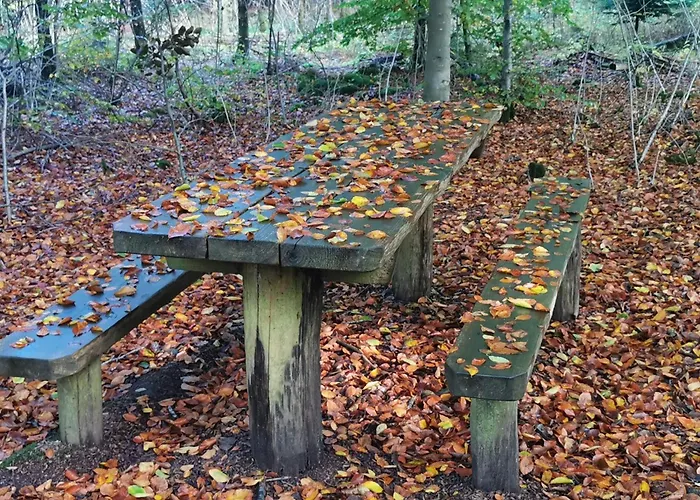 7 Person In Henne-by Traum * Henne Strand