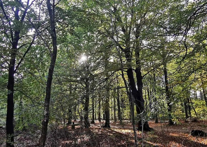 7 Person In Henne-by Traum Casa vacanze