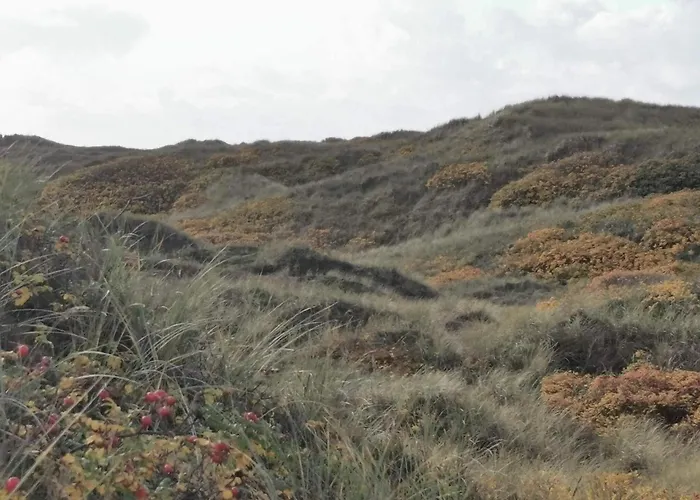 7 Person In Henne-by Traum