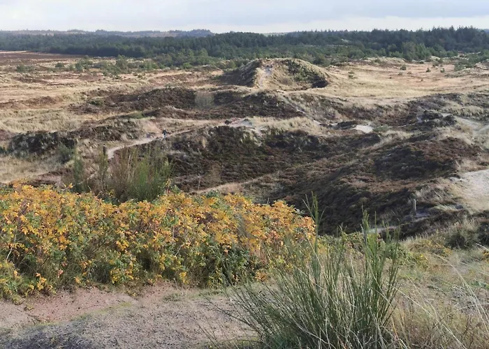 7 Person In Henne-by Traum Casa vacanze *