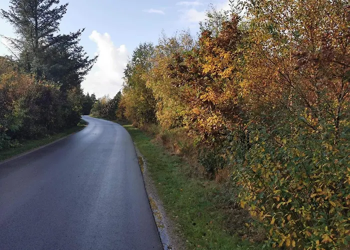 Casa vacanze 7 Person In Henne-by Traum *